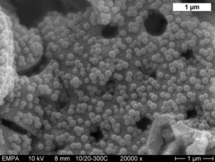 https://carboquant.empa.ch/documents/20659/66477/Picture+Nanoparticles+and+Nanocomposites+Ceramics+bacteria+small.png/53adcae7-71af-4e18-a9a2-ffefe52b8597?t=1447760036000
