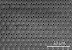 https://carboquant.empa.ch/documents/55912/180054/Research_Micro-+and+Nanopattering+_Surface+patterning+_small.jpg/3aa9e150-95a5-496d-8f45-d5e52663d18c?t=1447669134000