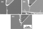 https://carboquant.empa.ch/documents/55912/180098/Research_Microstructural+analyses+_Tip-enhanced+Raman+_small.jpg/2c045525-85ba-4afa-98fd-4a528464c27d?t=1447252673000