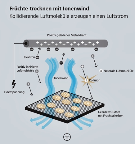 https://carboquant.empa.ch/documents/56164/14692194/Fruechte_para1.jpg/fcc5b335-af93-4602-b643-568fdbd4d276?t=1602245882000