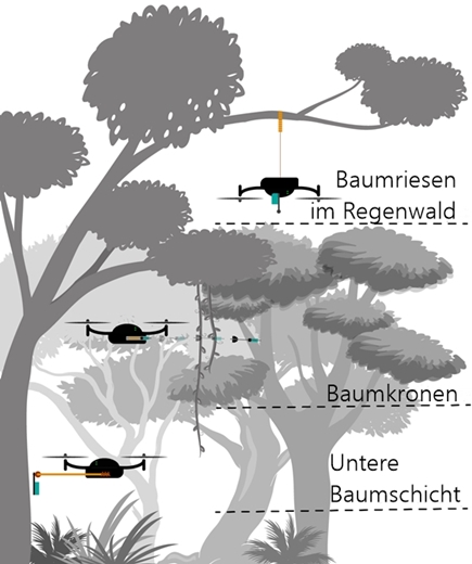 https://carboquant.empa.ch/documents/56164/14906278/Drohnen+para+grafik+de.jpg/782ac832-8e8b-46f5-b567-4894f9051655?t=1604402607000